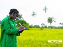 Mkulima GPT, Swahili chatbot, smallholder farmers