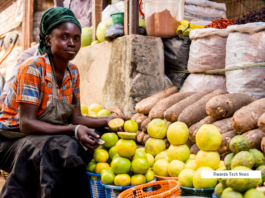 Africa Fruit Entrepreneurs