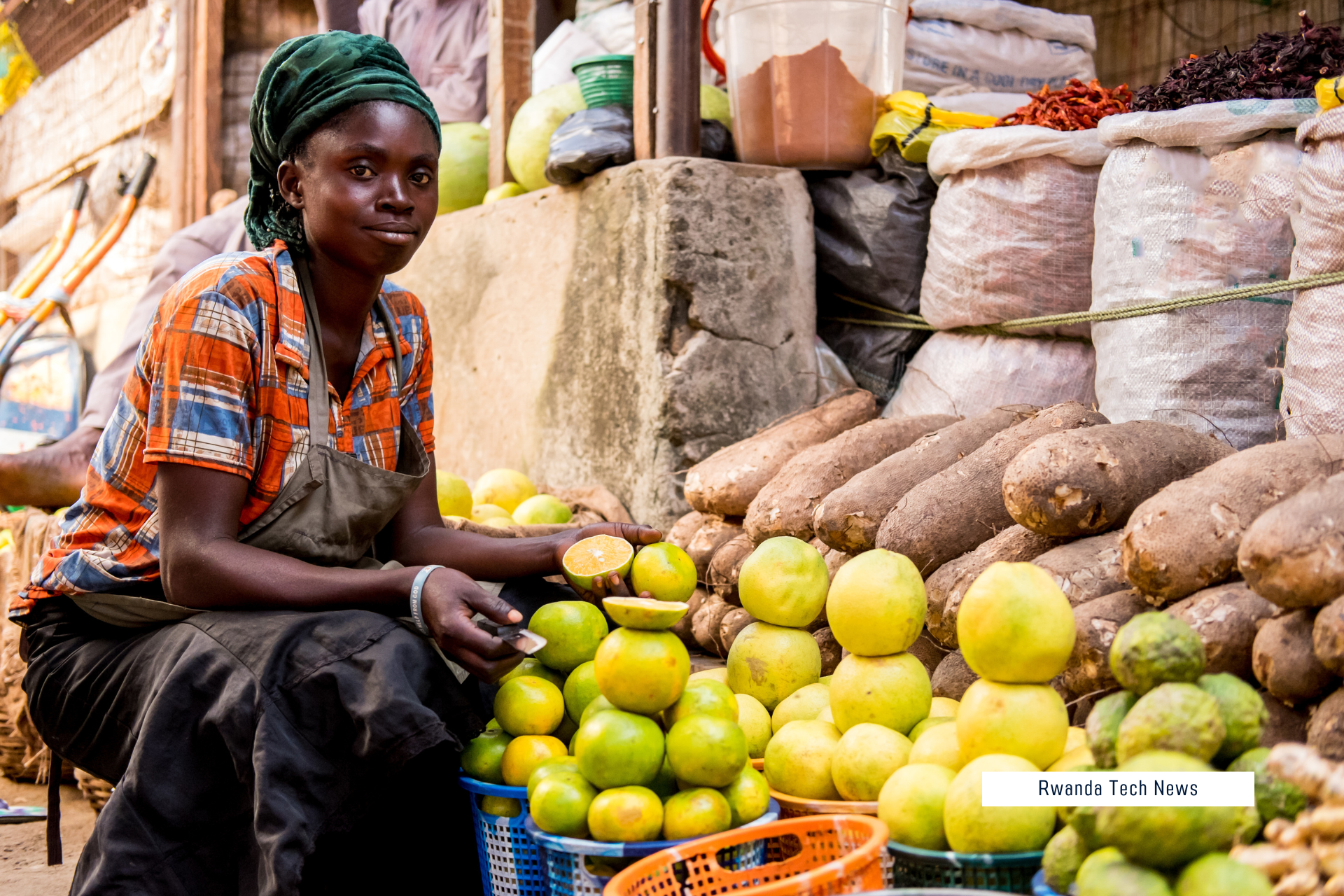 Africa Fruit Entrepreneurs: From Local Harvest to Global Success Africa Fruit Entrepreneurs