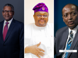20 Successful African Entrepreneurs