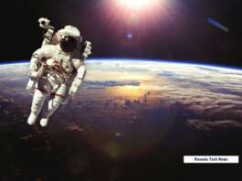 first Nigerian citizen in space