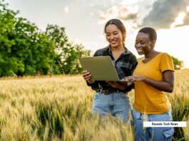 China Africa digital partnership