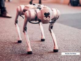 Spot the robotic dog