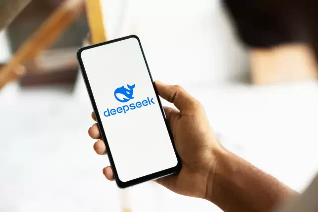 How DeepSeek AI Works