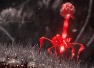 Artificial Intelligence Used to Design Fully Functional New Viruses AI-Designed Viruses