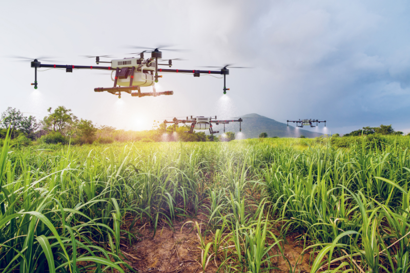 Agricultural Drones in Rwanda
