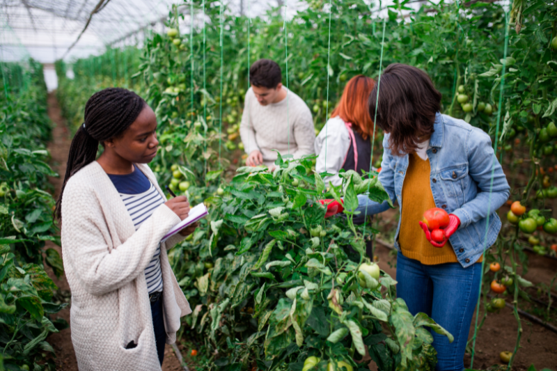 Agricultural Technology in Rwanda